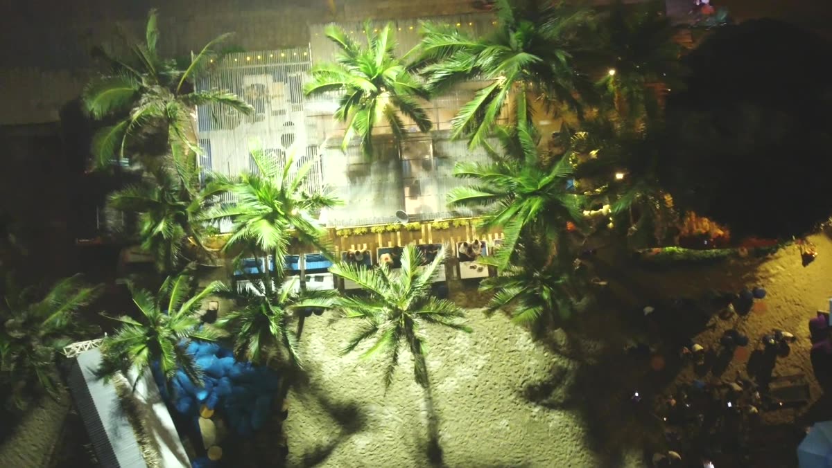 Paradise về đêm nhìn từ trên cao